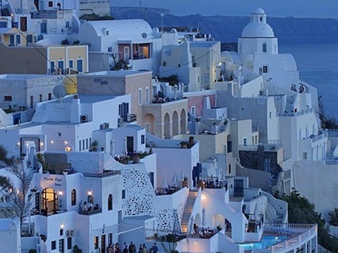 Purple – Business Purple – Business