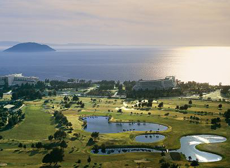 Green—Life is an attitude, quality is a pursuit Green—Life is an attitude, quality is a pursuit